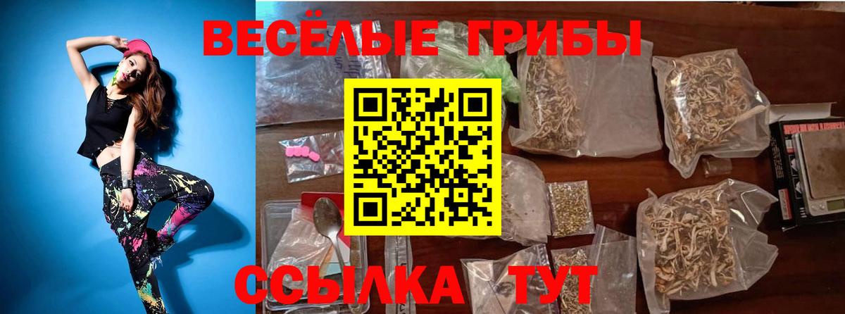 Псилоцибиновые грибы Magic Shrooms Родники